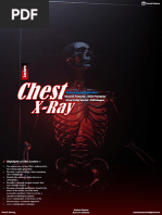 Chest X-Ray Anatomy and Positioning Guide | PDF | Thorax | Lung