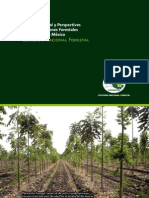 SituacionActual Perspectivas PlantacionaesForestalesComercialesMExico