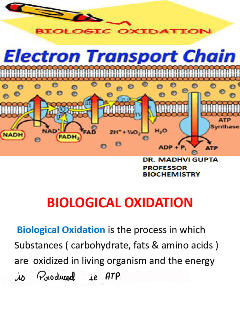 Etc & Inhibitors | PDF