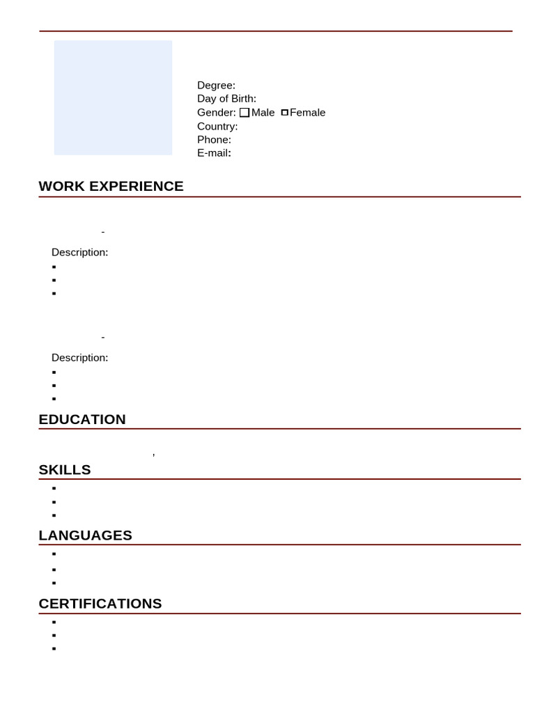 Cv Resume Form 7 | PDF