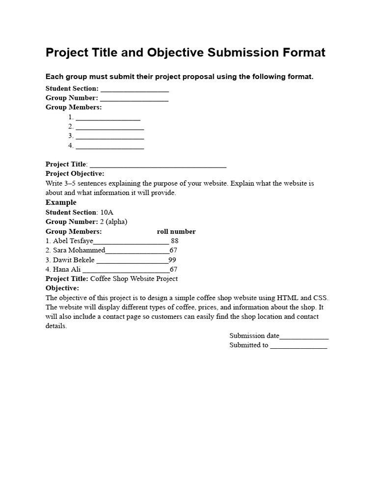 Project Proposal Format | PDF