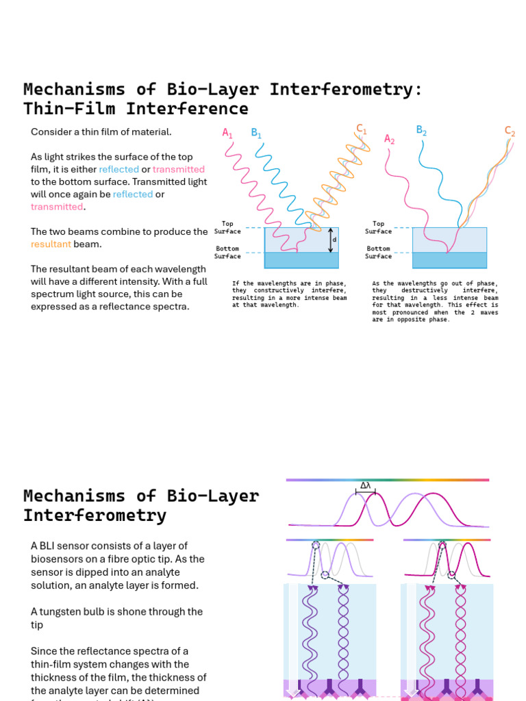 Biolayer Interferometry Infographic | PDF