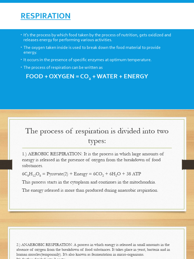 Respiration | PDF | Cellular Respiration | Fermentation