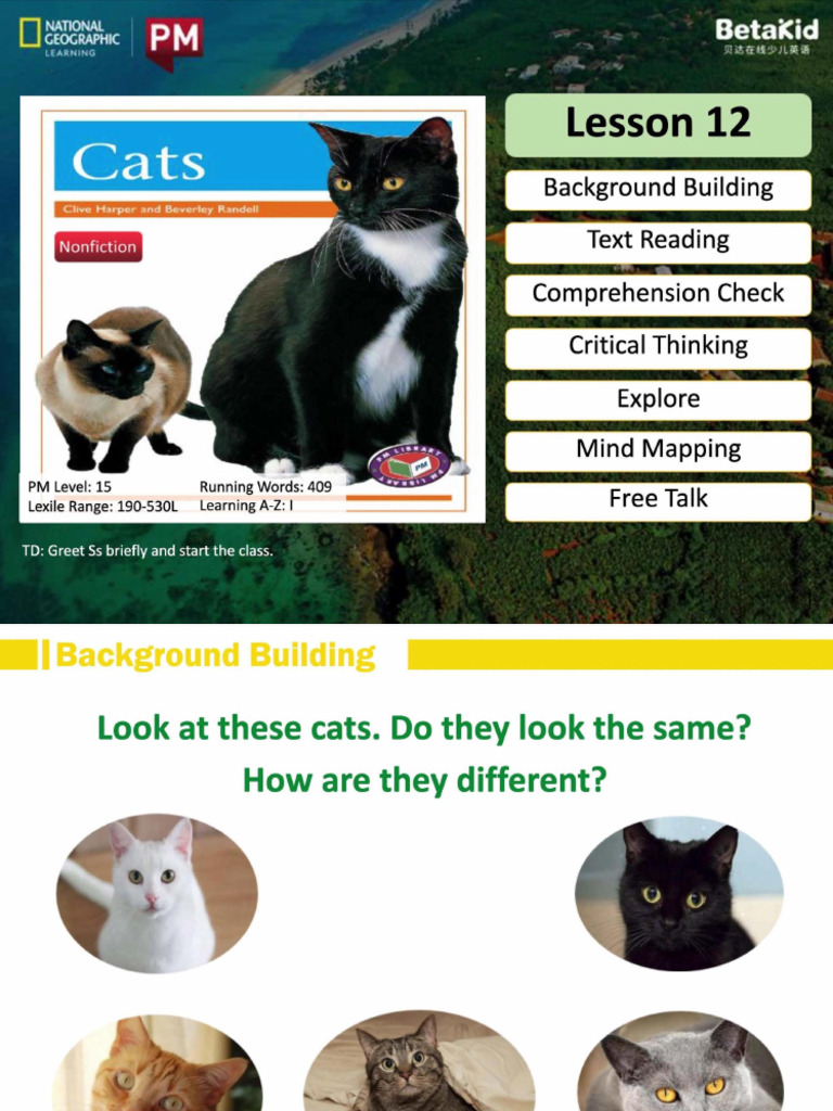 Cats | PDF