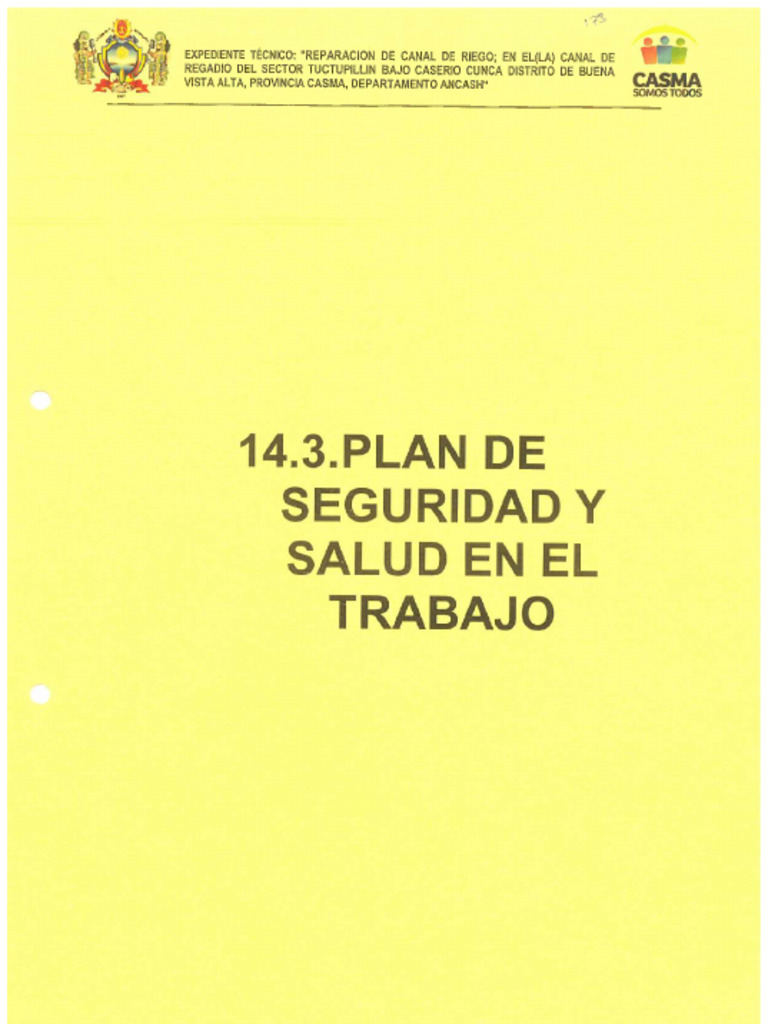PLAN DE SEGURIDAD Y SALUD EN EL TRABAJO | PDF