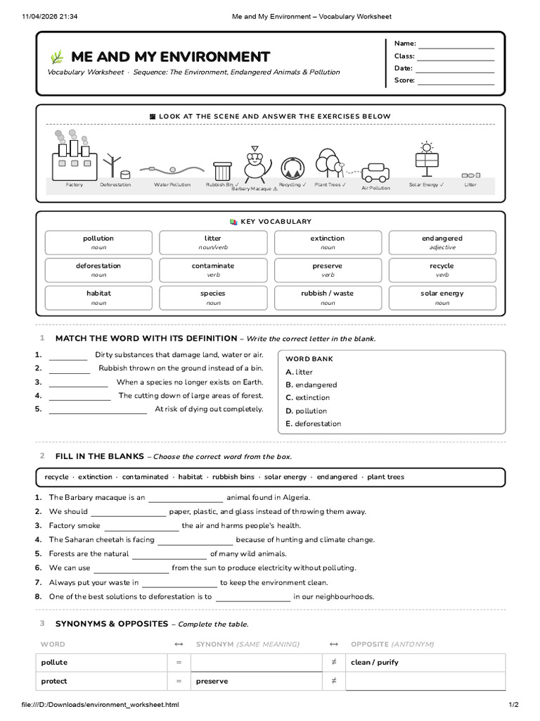 Me and My Environment - Vocabulary Worksheet | PDF