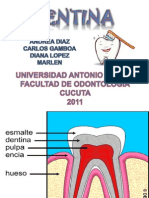 DENTINA