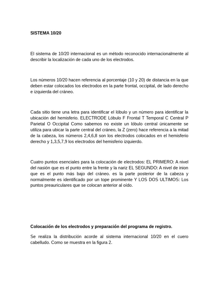 El Sistema de 10720 | PDF | Cráneo | Lobulo parietal