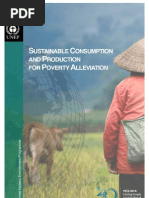Sustainable Consumption and Production for Poverty Alleviation 
