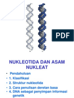 Nucleotides &amp; Nuclei Acids