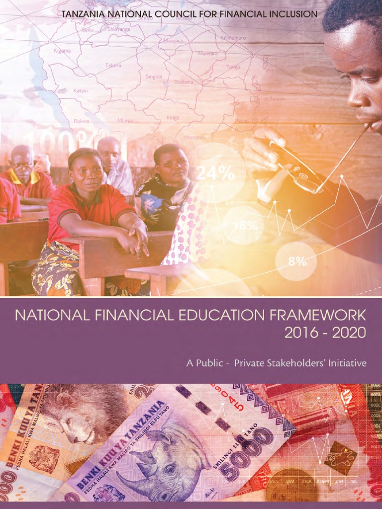 Fsdt Nfef Report | PDF | Financial Inclusion | Banks