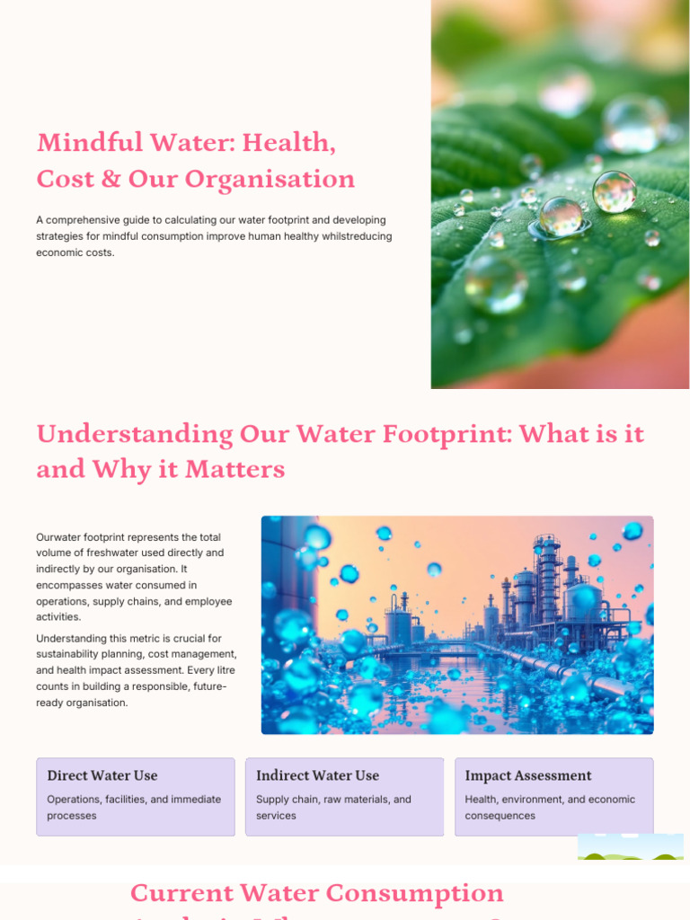 Mindful Water Health Cost and Our Organisation | PDF | Efficient Energy ...