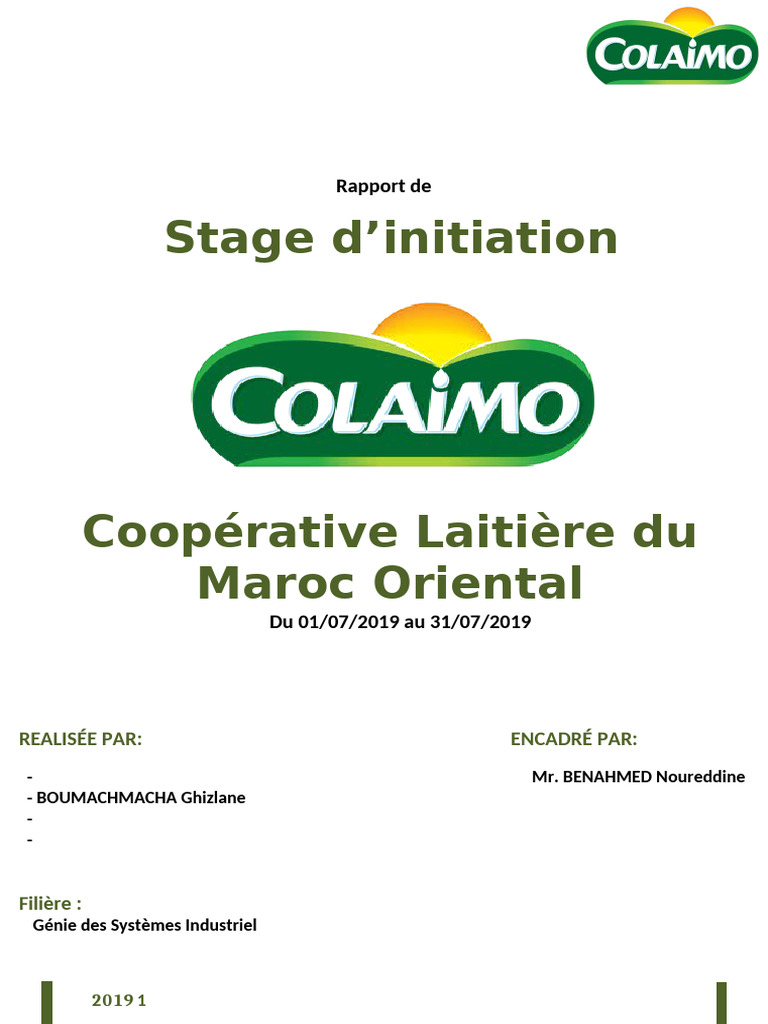 Rapport de Stage Colaimo 2019 | PDF | Chaudière | Fioul