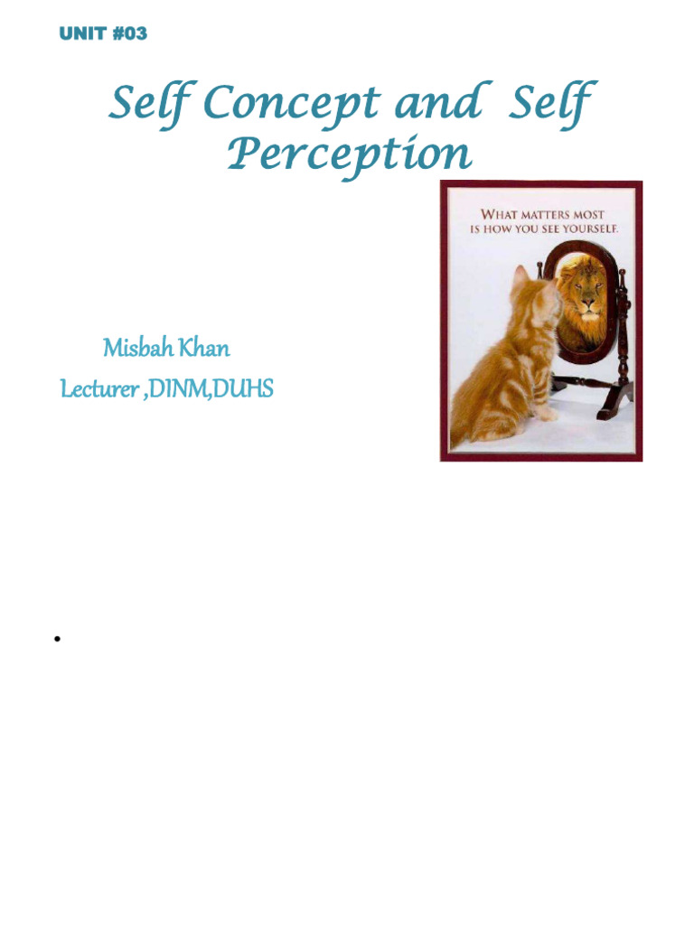 Self Concept and Self Perception | PDF | Self Concept | Perception