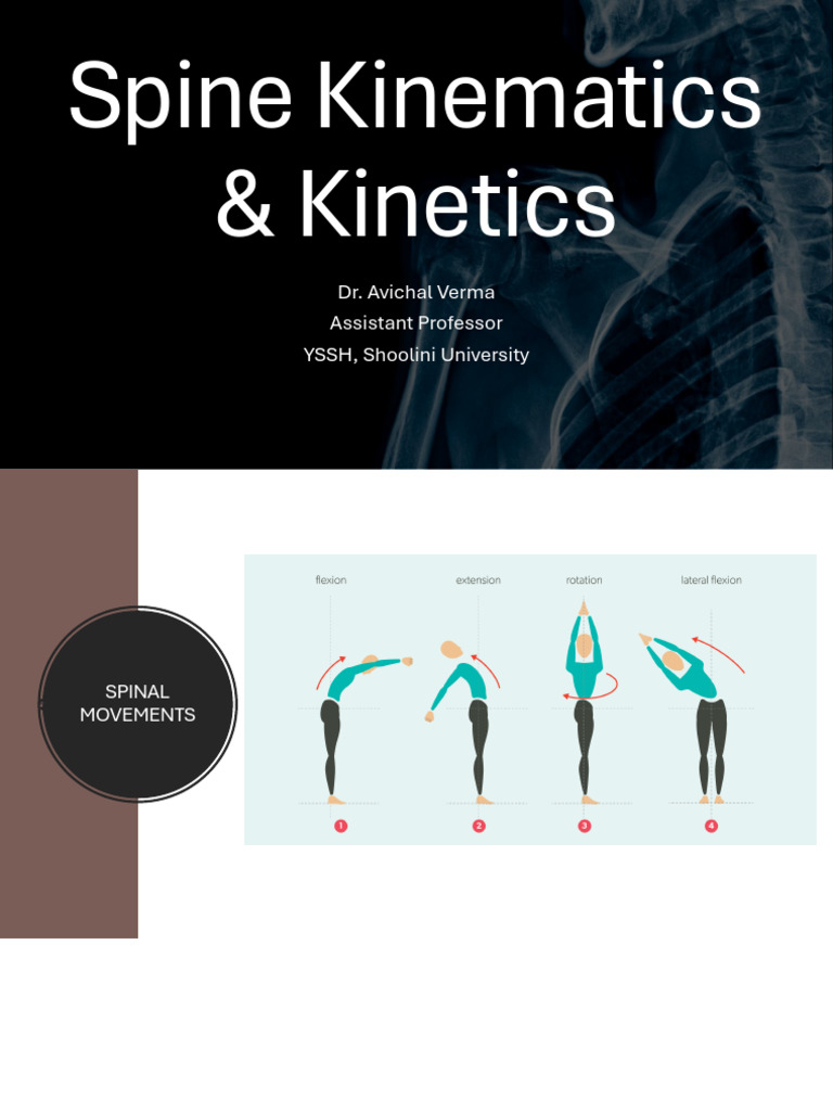 Spine Kinematics & Kinetics | PDF