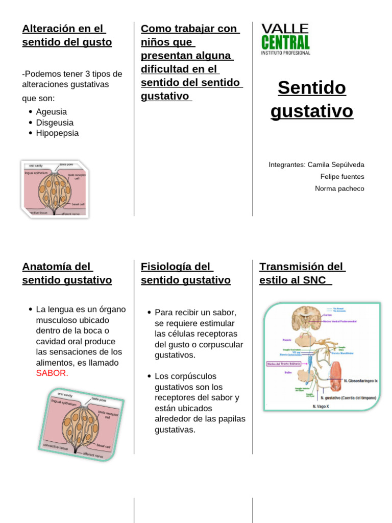 Alteración en El Sentido Del Gusto | PDF