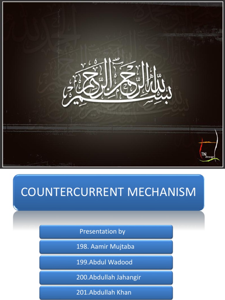 Countercurrent Mechanism in Kidney | PDF | Kidney | Anatomy