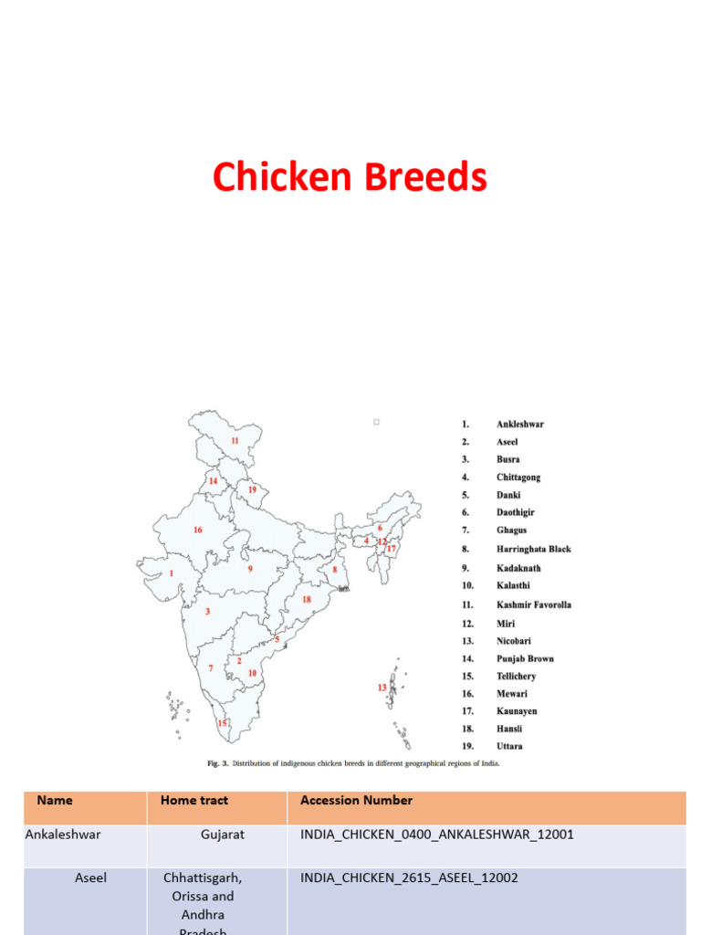 Chicken Breeds | PDF | Domesticated Birds | Poultry