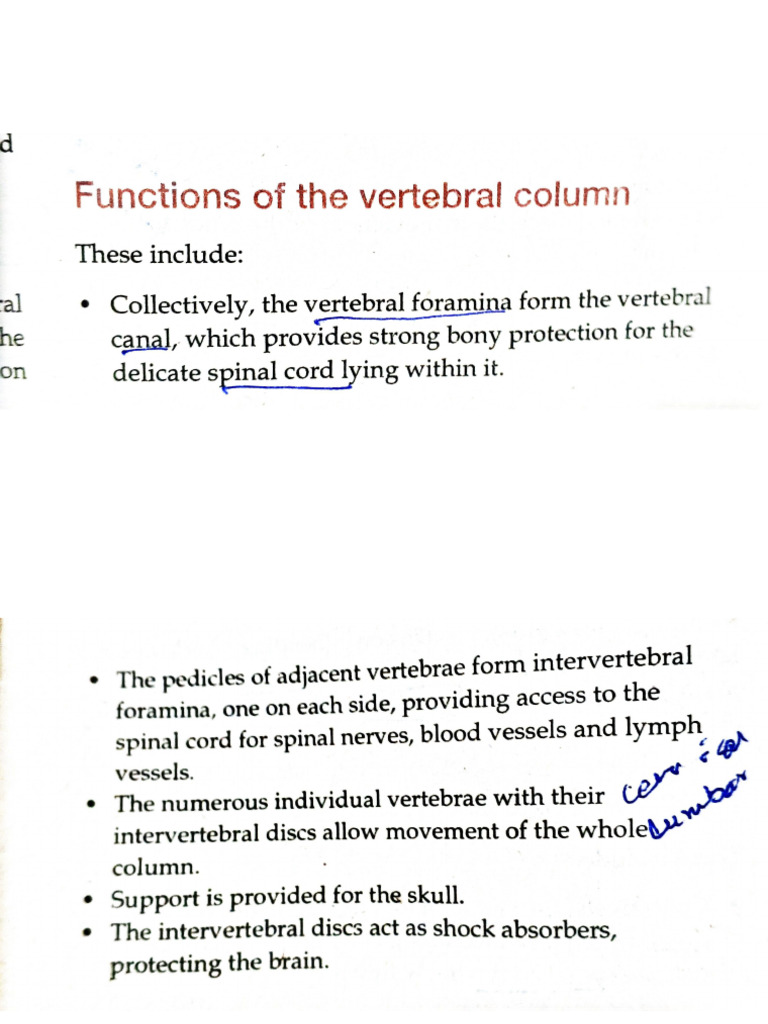 Functions of Vertebral Column.pdf | PDF