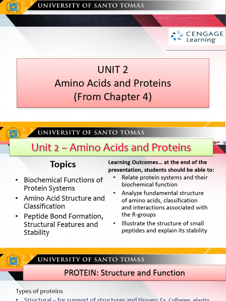 Unit 2_Amino Acids and Proteins | PDF | Amino Acid | Proteins