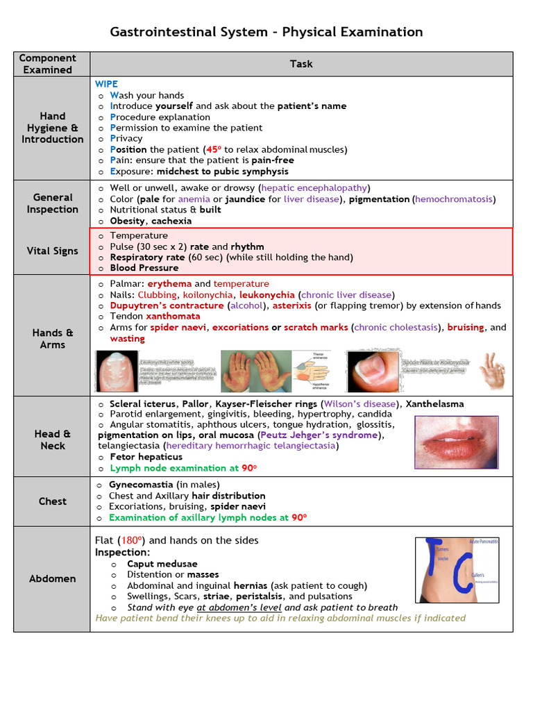GI System - Physical Examination | PDF | Abdomen | Medical Specialties