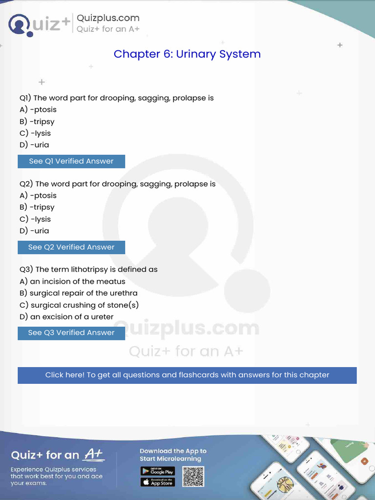 The Word Part for Drooping Sagging Prolapse Is | PDF | Heart ...
