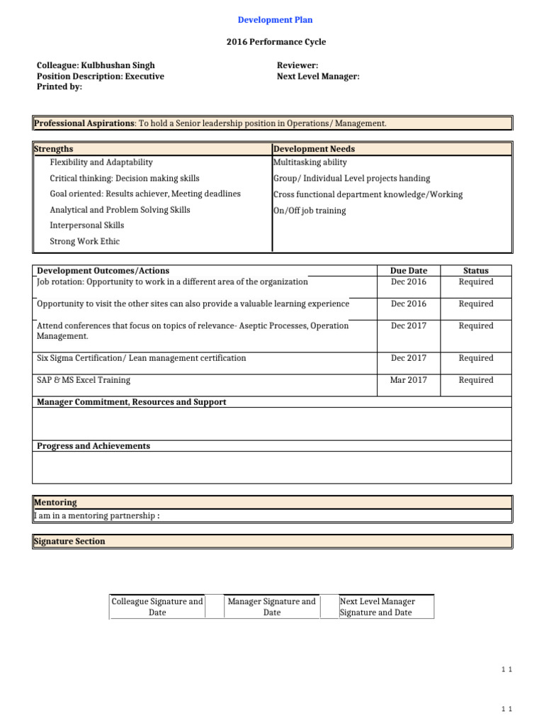 IDP Template | PDF