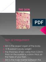 THE SKIN