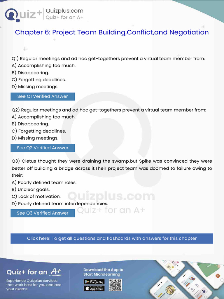 Regular Meetings and Ad Hoc Gettogethers Prevent a Virtual Team Member ...