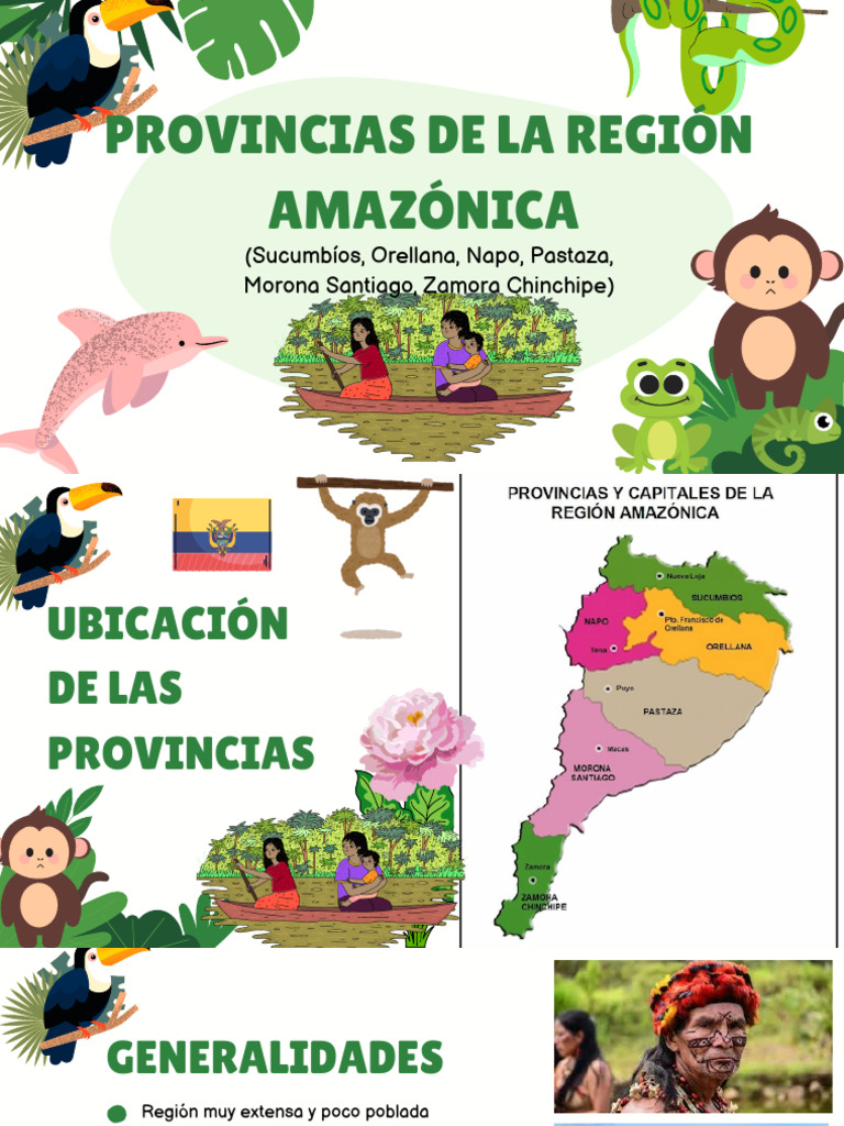 Material sobre las provincias de la región amazonica del Ecuador | PDF