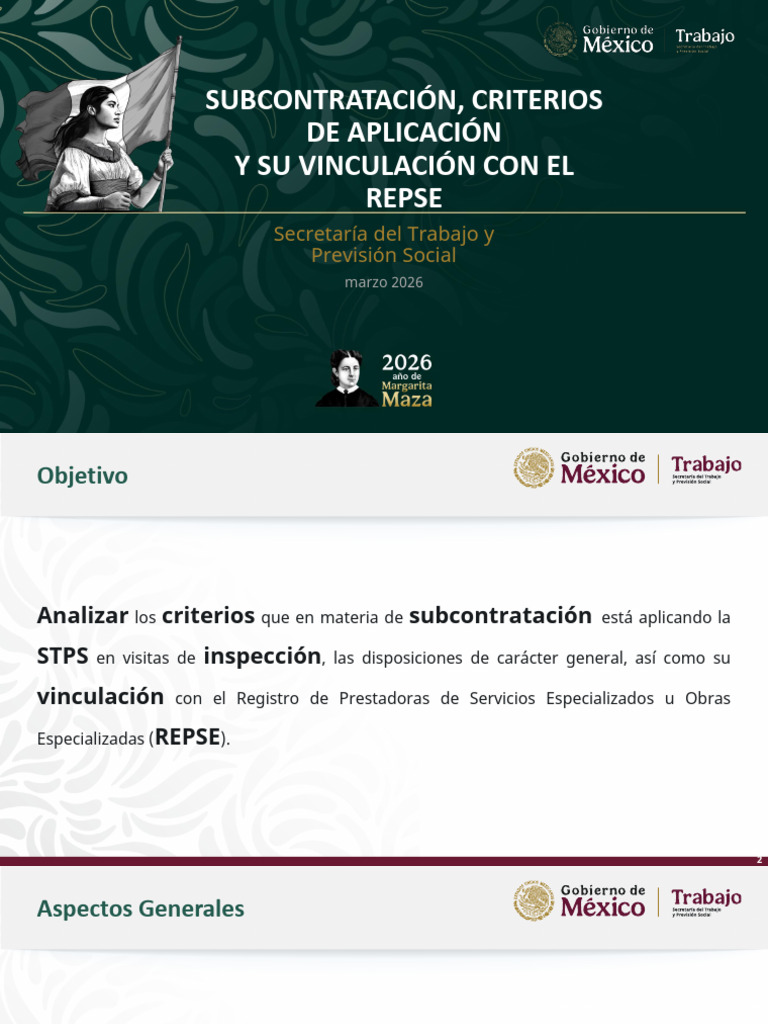 Stps Repse | PDF | Outsourcing