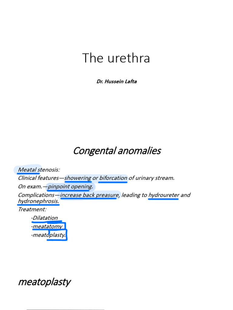 Lec 17 Urethral Anomalies | PDF