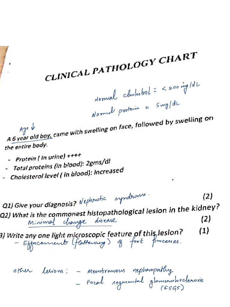 Pathology Chartss | PDF