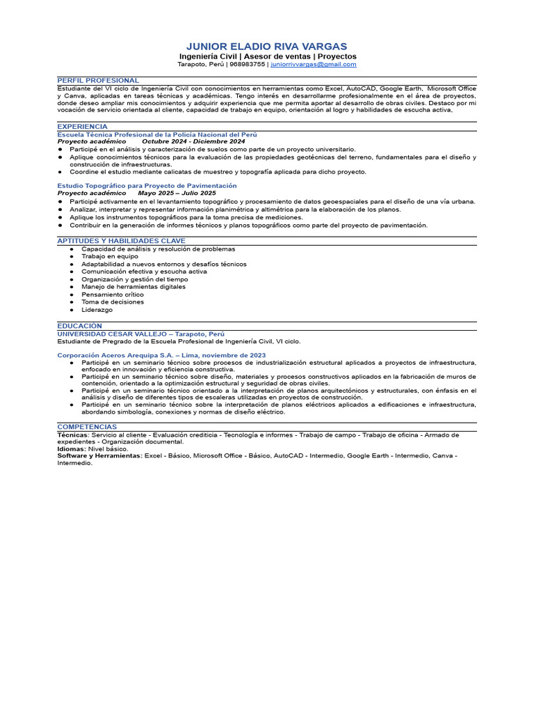 Formato Cv - Junior .Docx | PDF | Diseño | Topografía