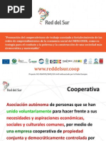 FCPU_Presentación Red del Sur