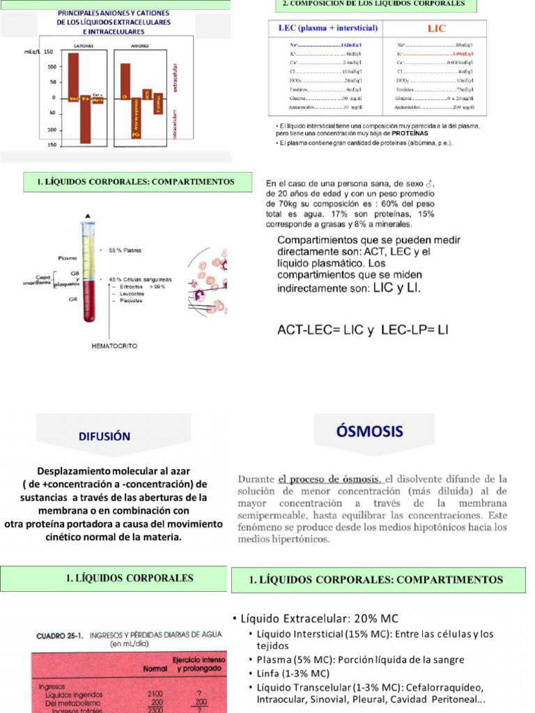 Liquidos y electrolitos.. | PDF