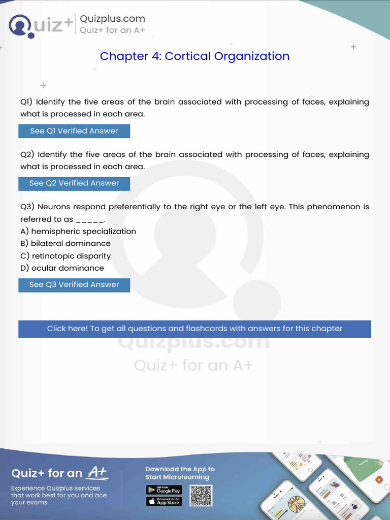 Identify the Five Areas of the Brain Associated With Processing of ...