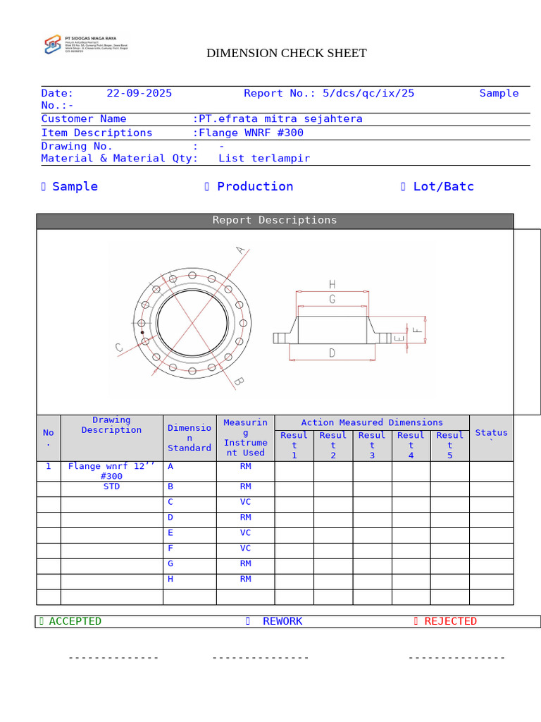 Inspection Flange 12'' 300 | PDF