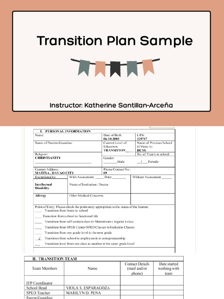 Transition Plan Sample and Format | PDF