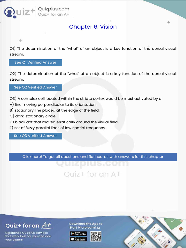 The Determination of the What of an Object is a Key Function of the ...
