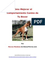 Cómo Mejorar El Comportamiento Canino de Tu Boxer