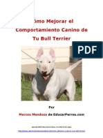 Cómo Mejorar El Comportamiento Canino de Tu Bull Terrier