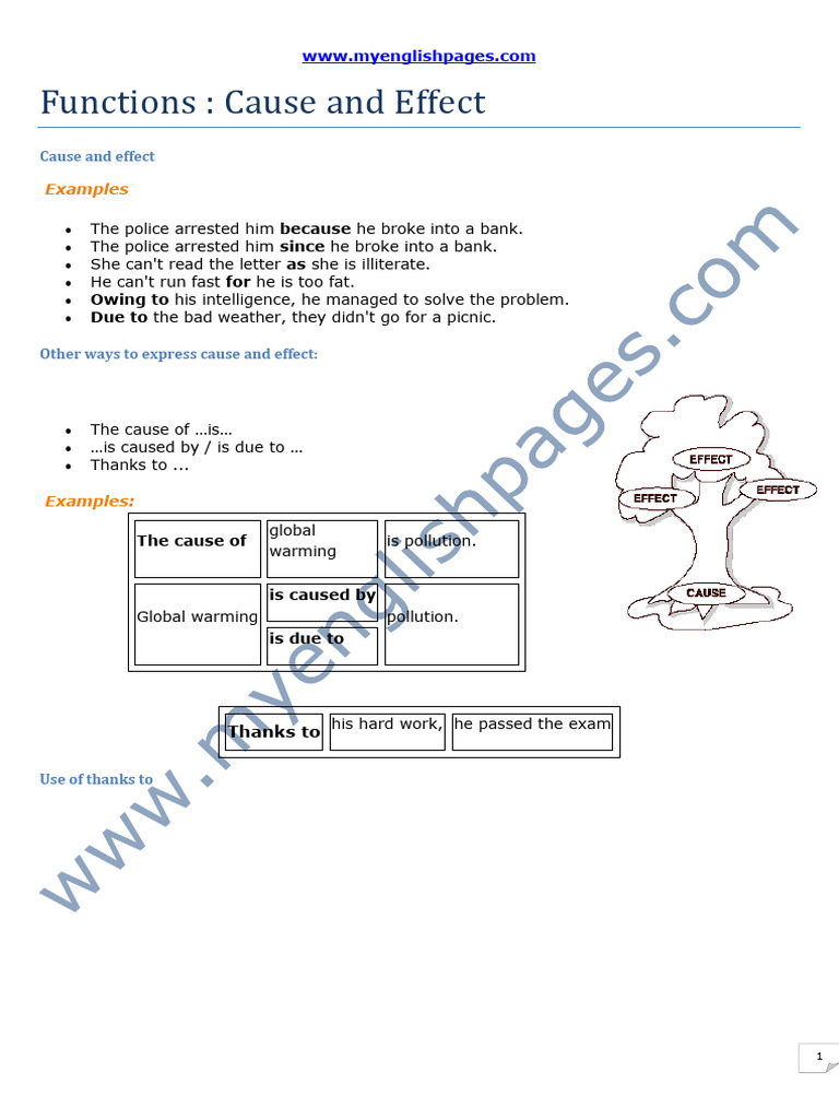 Cause and Effect Conjunction | PDF | Cost Of Living | Syntax
