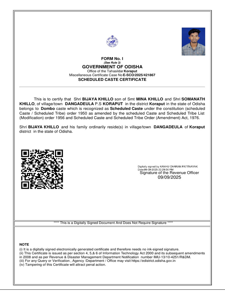 BJI | PDF