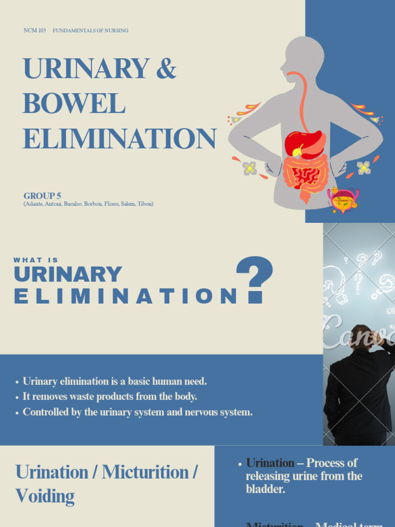 Urinary Bowel Elimination | PDF | Urinary Incontinence | Constipation