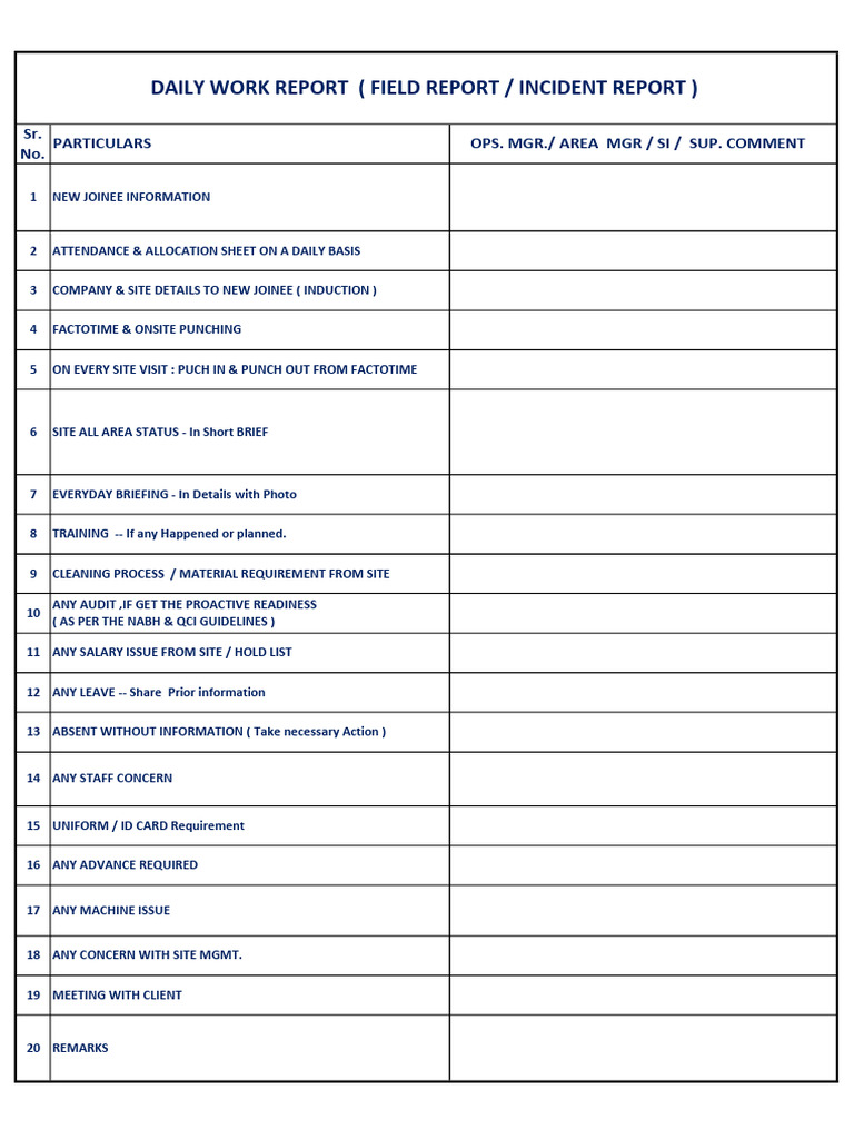 Daily Work Report | PDF
