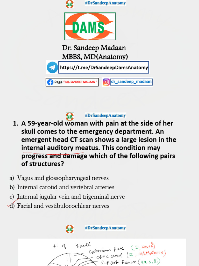 Anatomy (Neetnext Tnd 2025-26) Notes | PDF | Arm | Vein