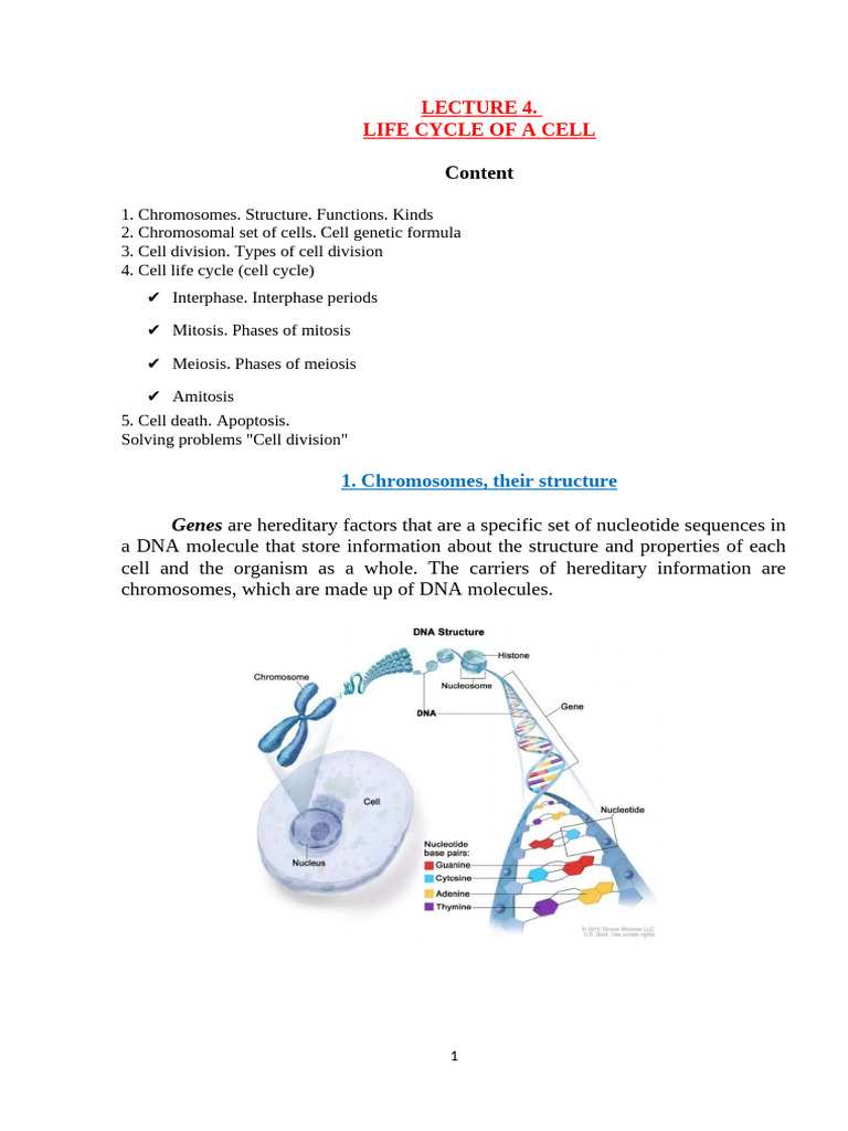 1. Lecture 4. Life Cycle of a Cell | PDF | Meiosis | Mitosis