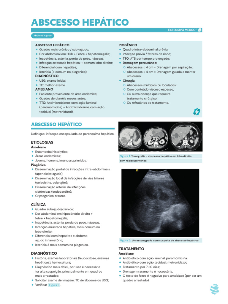 Ficha Resumo - Abscesso Hepático | PDF | Especialidades médicas ...
