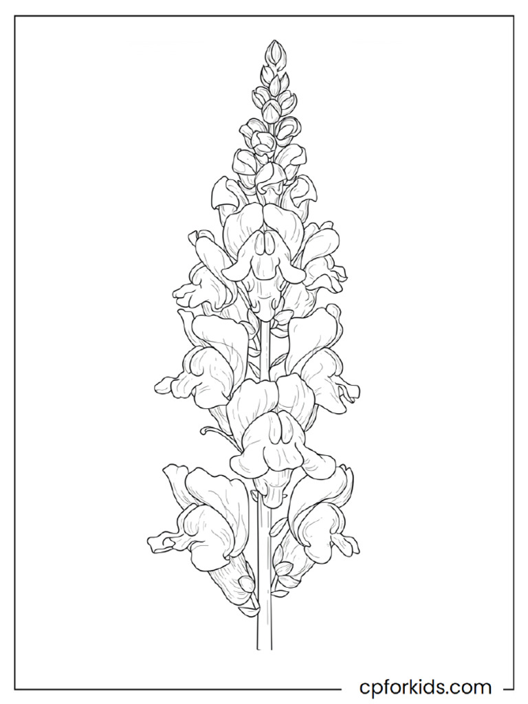 Snapdragon Flower Colors | PDF